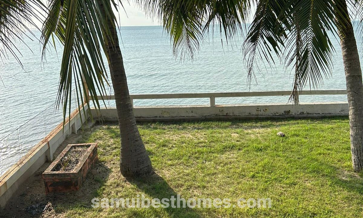 IMG-20240211-WA0013