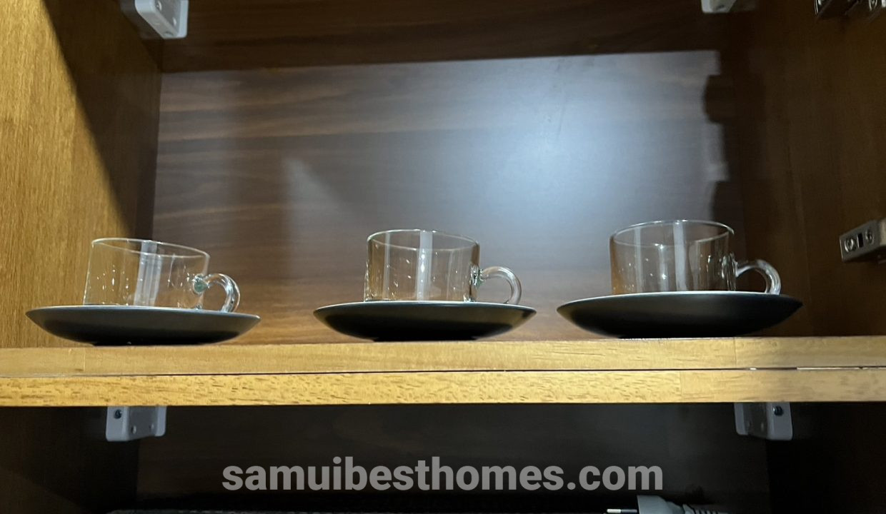 S__60629029_0
