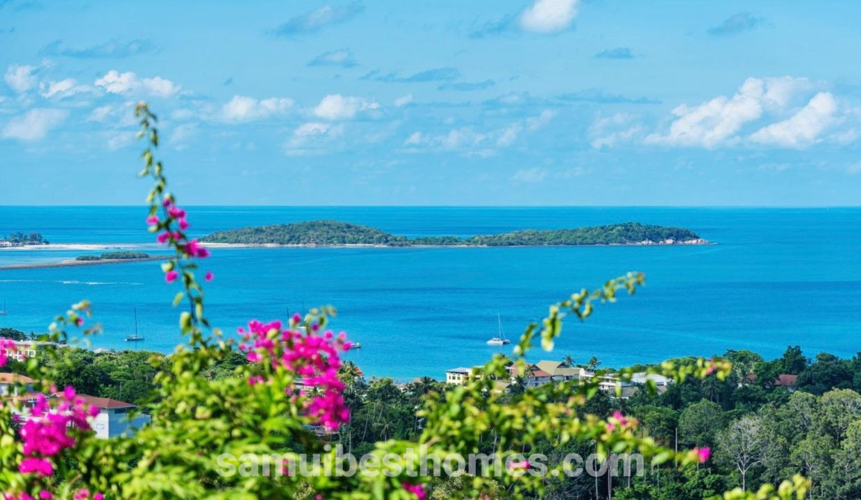 IMG-20240605-WA0043
