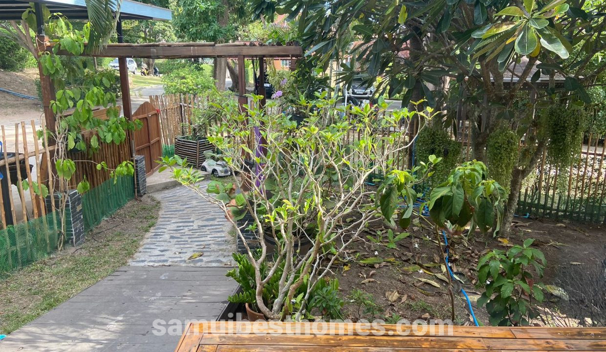 IMG-20240813-WA0037