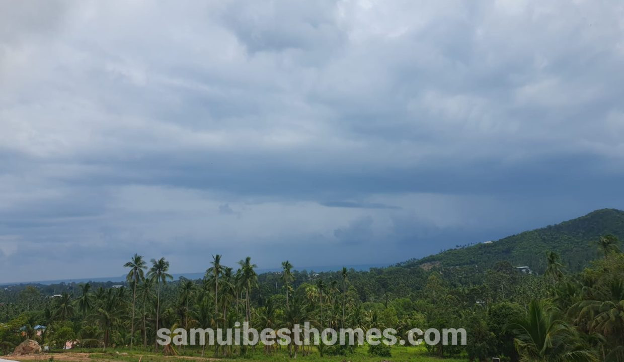 IMG-20240824-WA0003