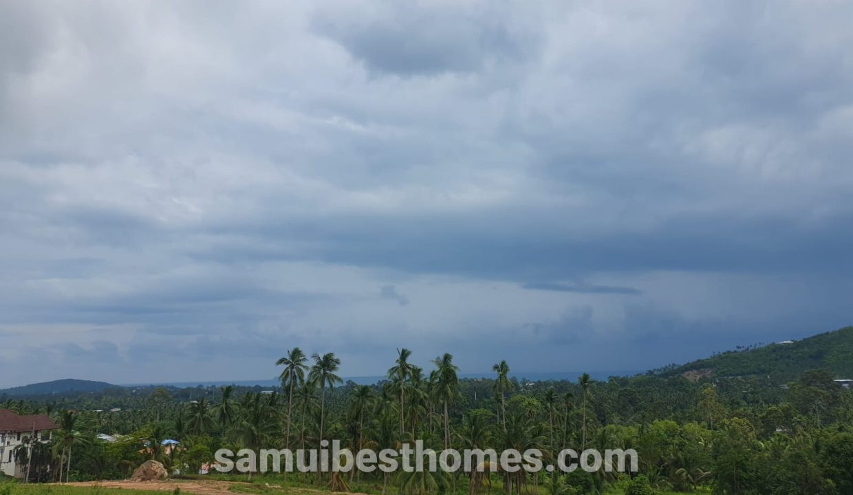IMG-20240824-WA0007