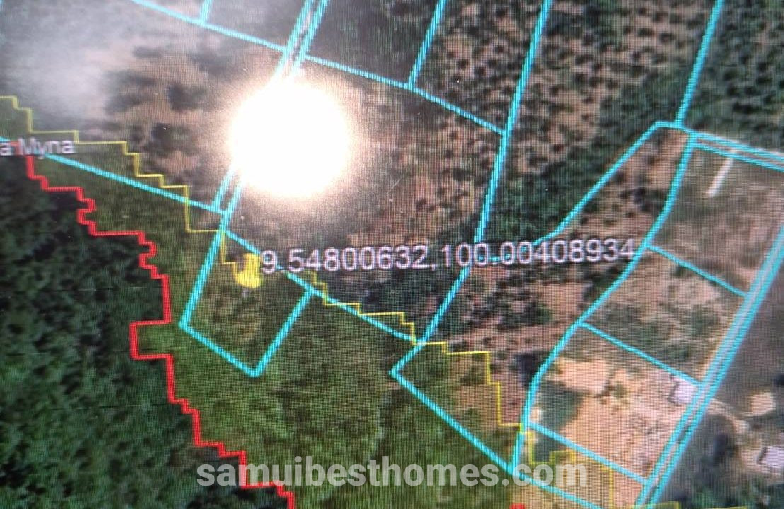 IMG-20240824-WA0009