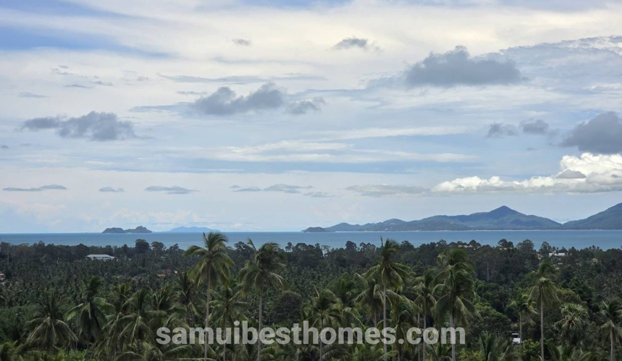 IMG-20240824-WA0011
