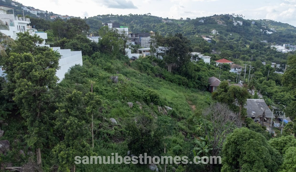 IMG-20241126-WA0011